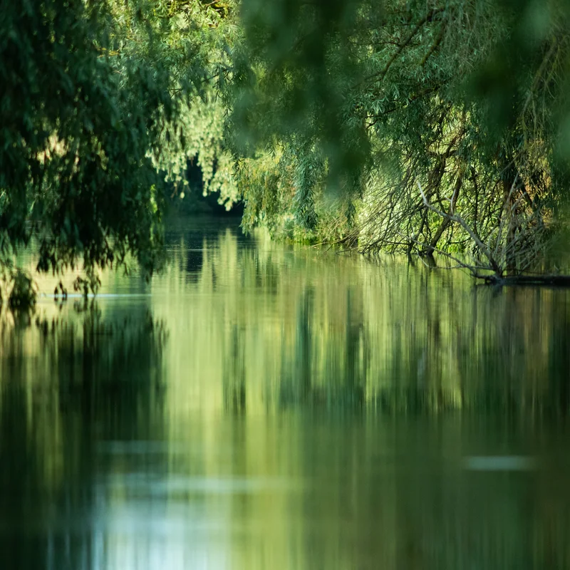 Energiearbeit & emotionale Regulation