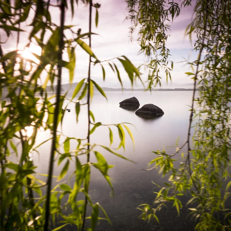 Darmgesundheit & Regulation